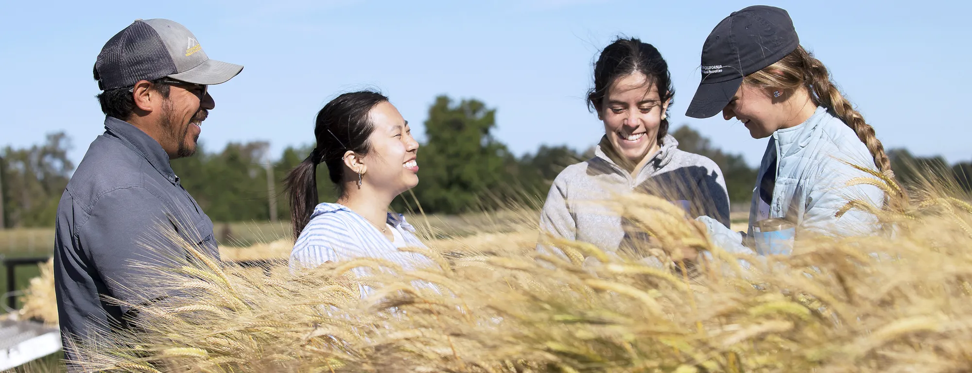 Group of people smiling in a field during the Small Grains and Alfalfa Field Day