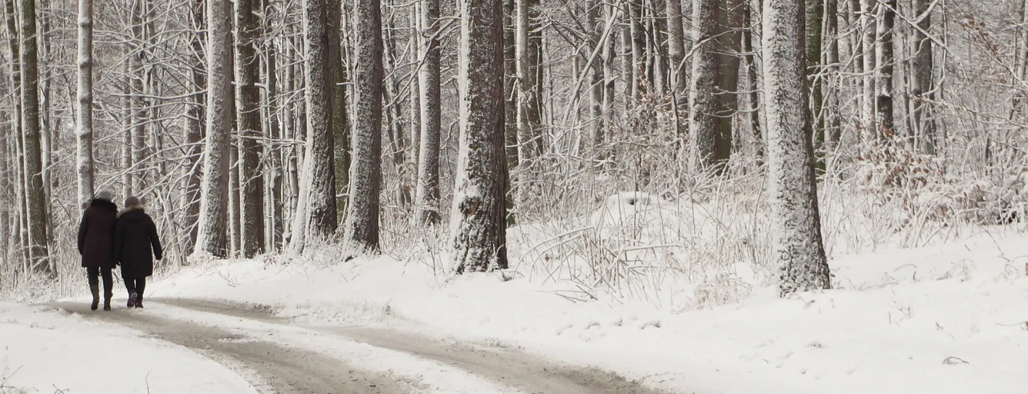 two people walking together on a snowy path