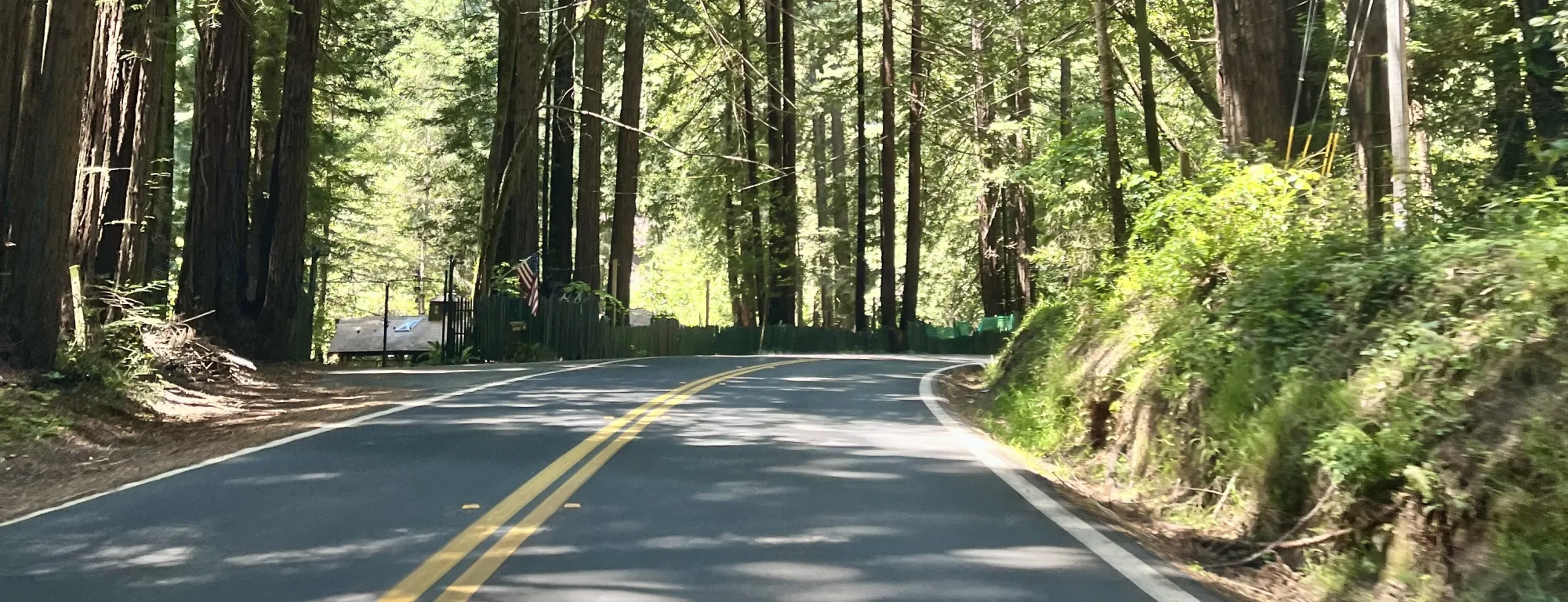 Two-lane road through tall trees from perspective of riding inside a car