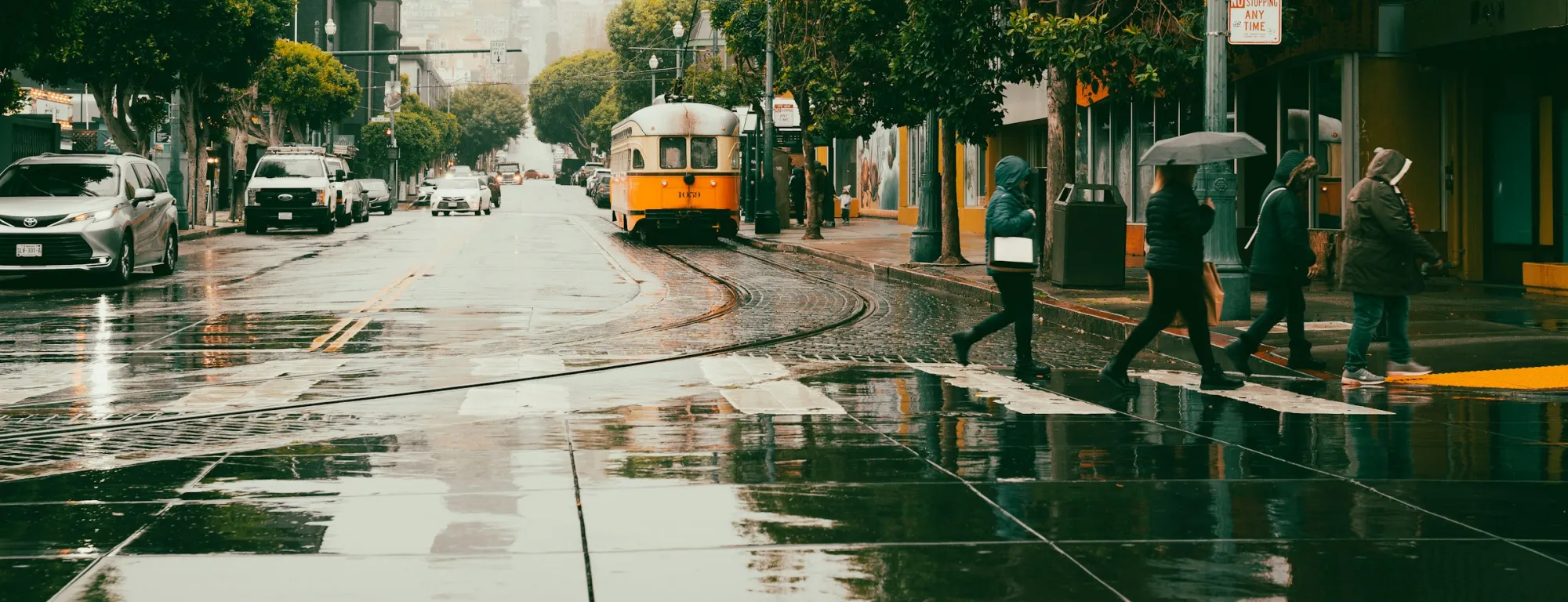Rain falls on slickened streets of a city as pedestrians in a crosswalk hold umbrellas