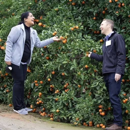 Karmjot Randhawa and Kelly Scott share a laugh in the citrus groves of Lindcove REC