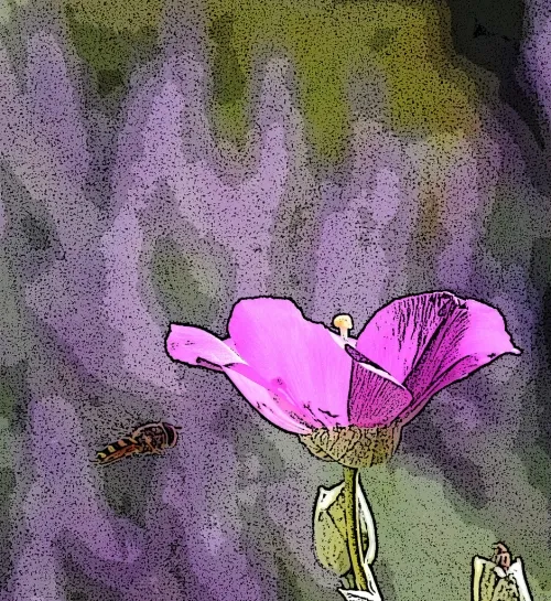 A PAINTING? No, it's a hover fly Photoshopped. (Photo by Kathy Keatley Garvey)