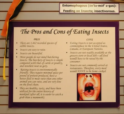SIGN SAYS IT ALL--This sign at the Bohart Museum of Entomology offers the pros and cons of eating insects. (Photo by Kathy Keatley Garvey)