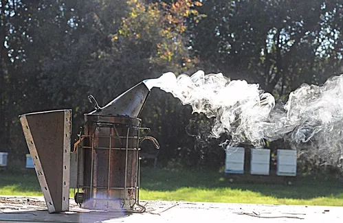 JUST SMOKIN'--Smoke curls into intricate patterns in this shot of a bee smoker at the Harry H. Laidlaw Jr. Honey Bee Research Facility at UC Davis. (Photo by Kathy Keatley Garvey)