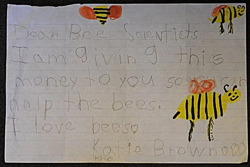 LETTER TO BEE SCIENTISTS--Katie Brown, 6, of Phoenix, penciled this letter to UC Davis bee scientists and drew bees to illustrate her concern.