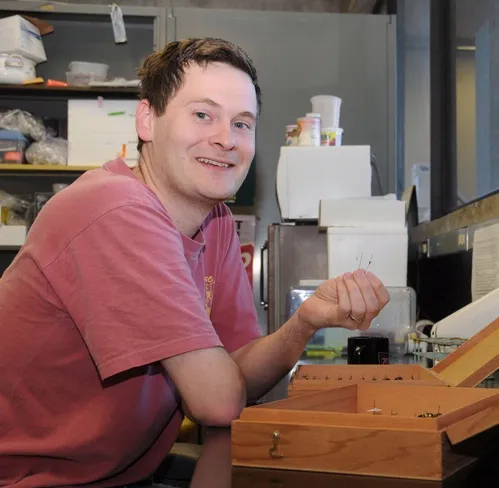 IN THE LAB--UC Davis evolutionary ecologist Andrew Forbes works in the lab. His research on the apple maggot and a parasitic wasp will be published Feb. 6 in the journal Science. (Photo by Kathy Keatley Garvey)