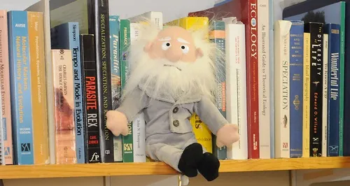 CHARLES DARWIN: BIRTHDAY BOY--This caricature of Charles Darwin perches on a shelf in the lab of UC Davis evolutionary ecologist Andrew Forbes. The UC Davis Center for Population Biology is sponsoring a Darwin Day at 7 p.m. on Feb. 23 in the Varsity Theater, 616 Second St., Davis. (Photo by Kathy Keatley Garvey)