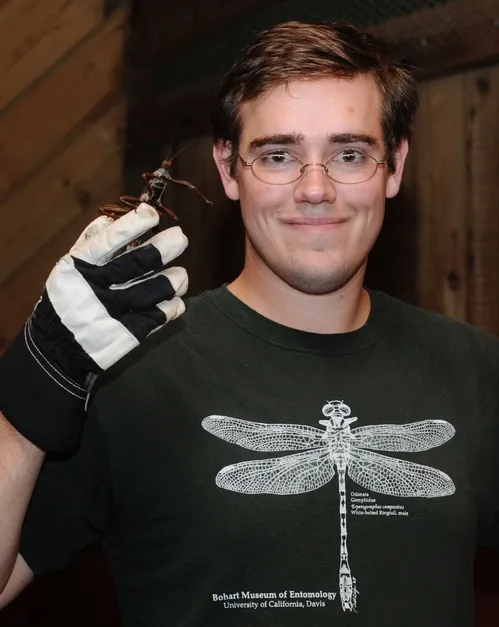 Brian Turner, outreach coordinator at the Bohart Museum of Entomology, shows a male Giant New Guinea Walking Stick. Six species of insects from the Bohart are housed at the Dixon May Fair, May 7-10. (Photo by Kathy Keatley Garvey)