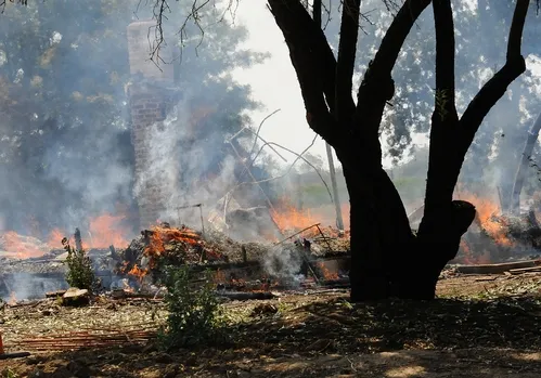 GONE--Nothing remains of the Baxter House but the chimney and rubble. (Photo by Kathy Keatley Garvey)