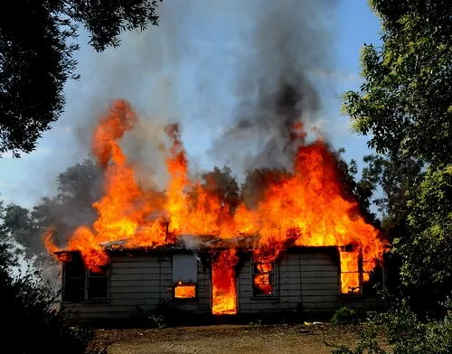 BAXTER HOUSE, built in 1938, went up in flames on June 30 in a UC Davis firefighters' control burn. The grounds will now be a quarter-acre field of wildflowers called The Campus Buzzway. (Photo by Kathy Keatley Garvey)
