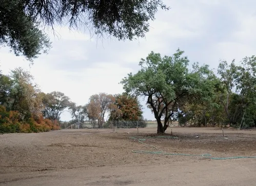 WORK is under way to transform the old Baxter House site on Bee Biology Road, UC Davis, to The Campus Buzzway, where California poppies, lupine and coreopsis will grow. (Photo by Kathy Keatley Garvey)