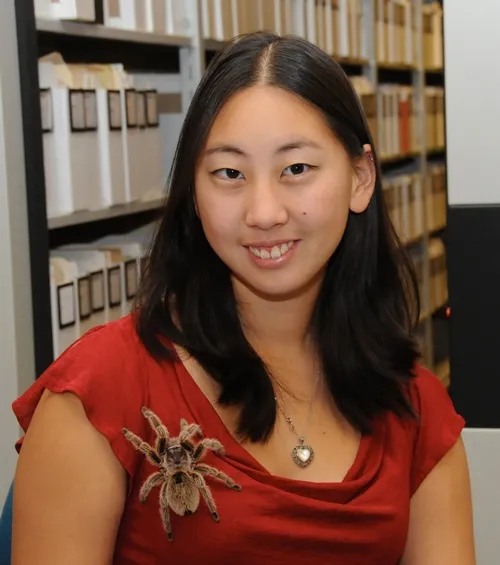 NEW BROOCH--Nanase Nakanishi, a UC Davis student who plans to become a veterinarian, cares for this rose-haired tarantula at the Bohart Museum. It's one of the live insects in the museum, which houses more than seven million specimens. (Photo by Kathy Keatley Garvey)