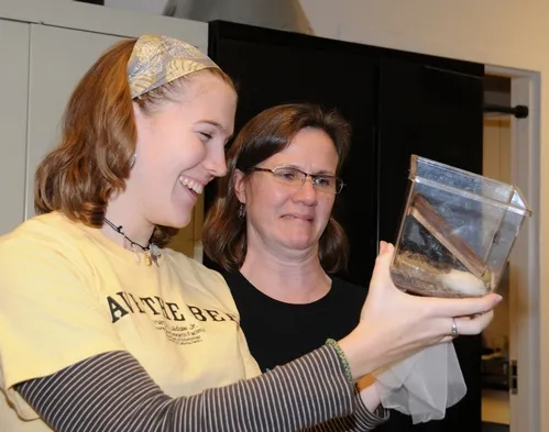 UC DAVIS graduate students Emily Bzdyk (left) and Fran Keller show different reactions to the cockroaches at the Bohart Museum of Entomology. Keller admits to liking other insects better; she's working on beetles for her doctorate. (Photo by Kathy Keatley Garvey)