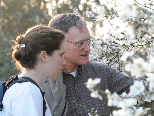 EXAMINING the almond blossoms on the Laidlaw facility grounds are Extension apiculturist Eric Mussen of the UC Davis Department of Entomology faculty and Tabatha Yang, education and outreach coordinator at the Bohart Museum of Entomology, located on the UC Davis campus. (Photo by Kathy Keatley Garvey)