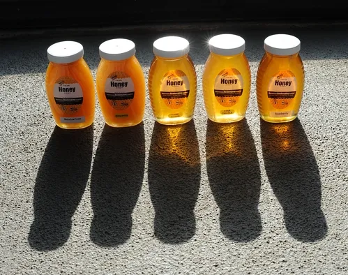 END PRODUCT: Jars of honey. Visitors to UC Davis Picnic Day at Briggs Hall can sample these flavors, orange blossom, eucalyptus, raspberry, meadowfoam and starthistle, plus cotton. (Photo by Kathy Keatley Garvey)