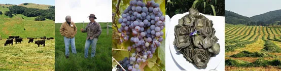 Ag & natural resources banner