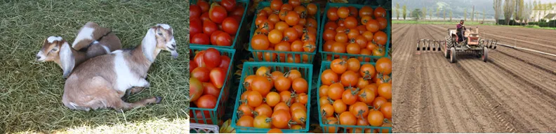 resourcesforeducators copy