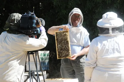 NEWS REPORTER Dea Diamont (right) of KCRA TV, Channel 3, Sacramento interviews Extension apiculturist Eric Mussen (center) of UC Davis Department of Entomology at the Harry H. Laidlaw Jr. Honey Bee Research Facility, UC Davis. At left is KCRA news photographer Brian Fong. (Photo by Kathy Keatley Garvey)
