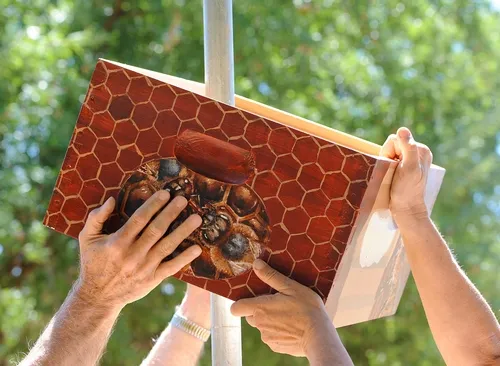 TWO SETS of hands raise a bee box at the Haagen-Dazs Honey Bee Haven. The trio of Eric Mussen, Diane Ullman and Donna Billick installed the two beehive columns, which grace the entrance to the bee friendly garden. (Photo by Kathy Keatley Garvey)