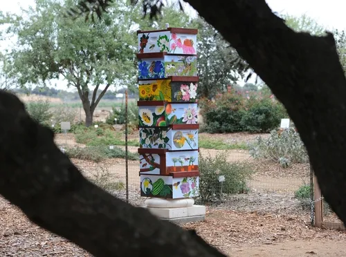 BETWEEN THE BRANCHES--A beehive column, as seen through the branches of an olive tree at the Haagen-Dazs Honey Bee Haven on Bee Biology Road, UC Davis. The bee box (fourth from bottom) shows a honey bee in flight with a close-up below. (Photo by Kathy Keatley Garvey)
