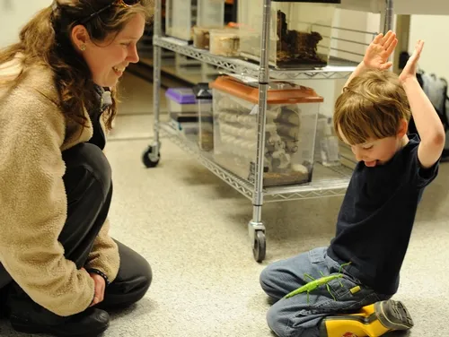 BOHART MUSEUM education and outreach coordinator Tabatha Yang (left) watches Toby Thornton's delight in a green walking stick. (Photo by Kathy Keatley Garvey)