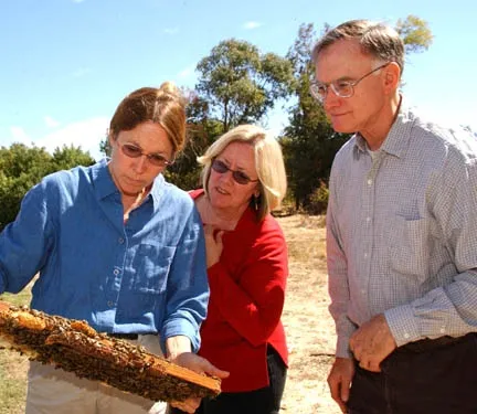 UC Davis bee breeder-geneticist Susan Cobey (far left) and UC Davis apiculturist Eric Mussen look at a bee frame with beekeeper Valerie Severson of Yuba City. (Photo by Kathy Keatley Garvey)