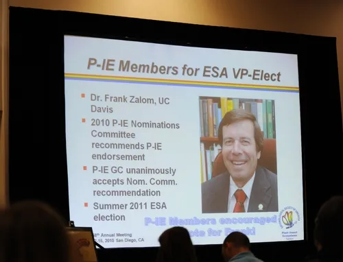 LARGE PHOTO of Frank Zalom appeared on the screen during the Plant-Insect Ecosystem (P-IE) Section's business meeting. The group is supporting Zalom for vice president-elect of the Entomological Society of America. The election takes place next summer. (Photo by Kathy Keatley Garvey)