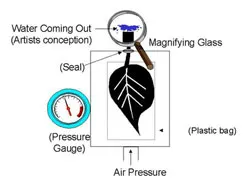 The Pressure Chamber