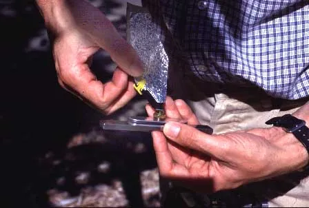 Using the Pressure Chamber in the Orchard