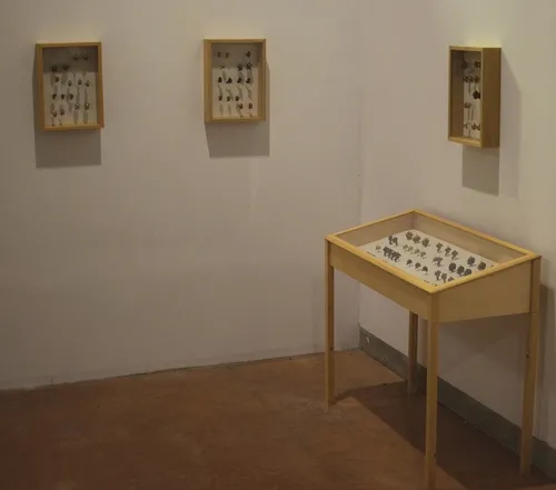 'SPECIMENS' by artist Johanna Kidd of Davis is comprised of three wall cases and a floor case. Specimens are small human sculptures, all pinned and displayed as they would be in an insect collection. (Photo provided by Johanna Kidd)