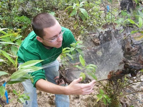 Jonathan Pruitt, postdoctoral fellow at the Center for Population Biology, UC Davis Department of Evolution and Ecology, will speak Jan. 19 on “From Individuals to Populations to Communities: When Does Personality Matter?”