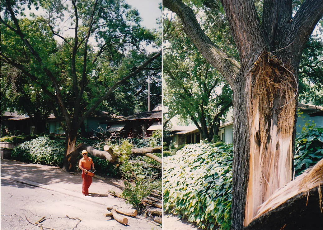 Modesto ash branch failure
