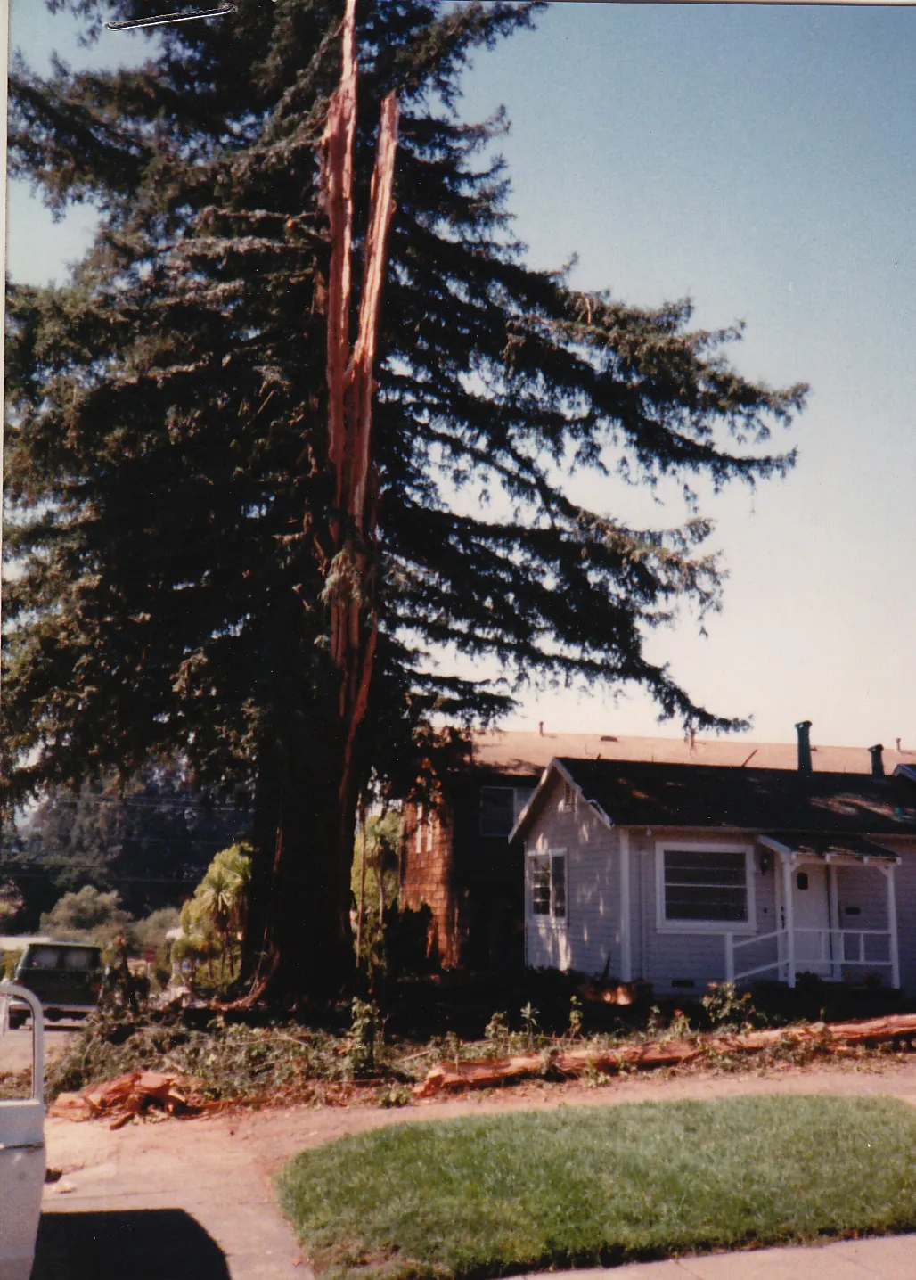 9/17/89 redwood hit by lightning