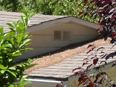 vent gable end debris