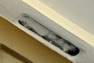 vent fine mesh plugged