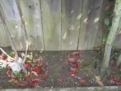 good fence construction