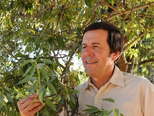 FRANK ZALOM, integrated pest management specialist and professor and former vice chair of the UC Davis Department of Entomology, is the 2011 recipient of the C. W. Woodworth Award. (Photo by Kathy Keatley Garvey)
