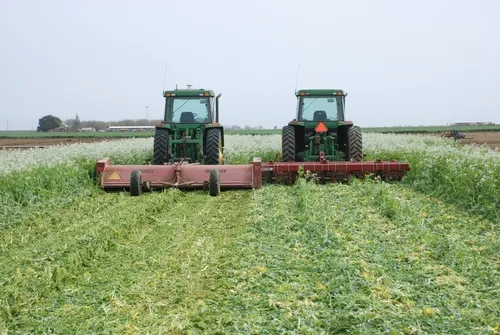 Photo by Ron Harben.