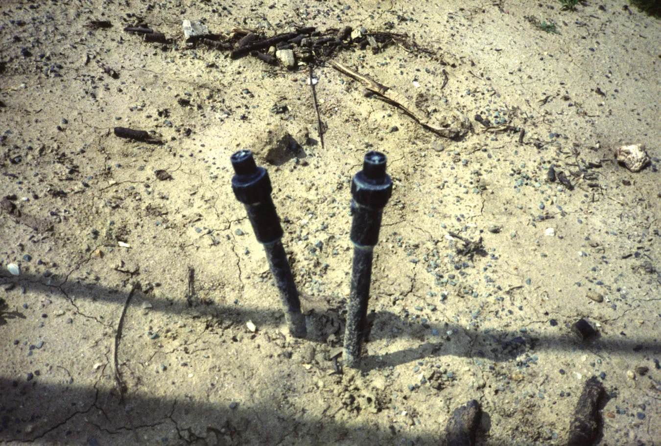 Self-flushing lateral line end caps, used on a subsurface drip system in tree crops Photo: L. Schwankl