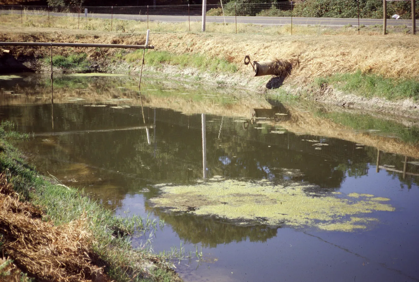 Storage reservoir with organic contamination Photo: L. Schwankl
