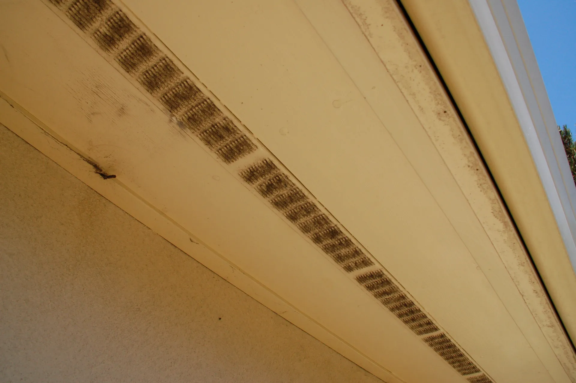 Soffited eave