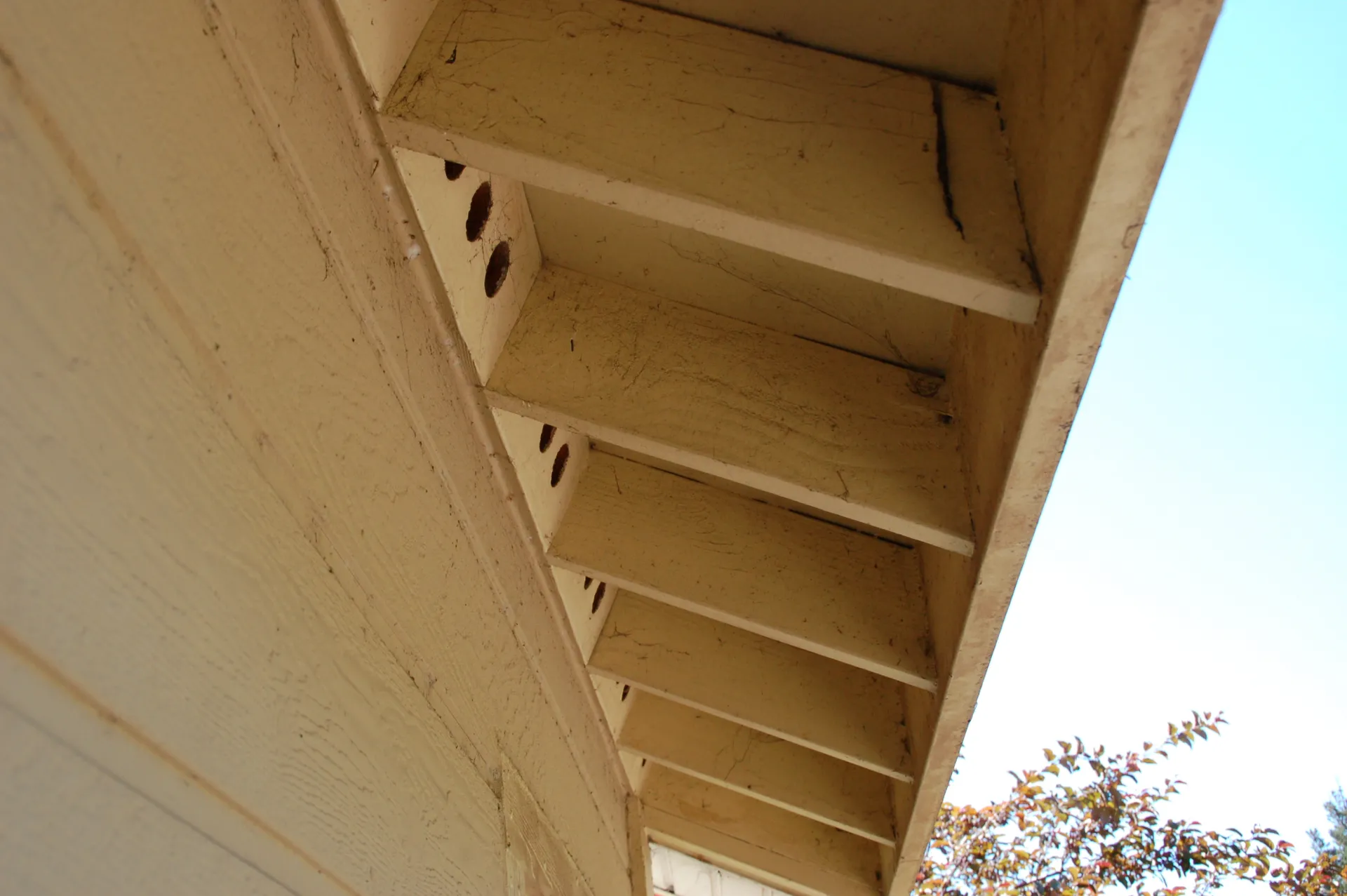 Open eave - first
