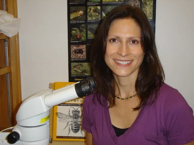 Population biologist Lora Morandin of UC Berkeley will discuss her research on hedgerows on May 18 at UC Davis