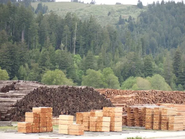Lumber, logs, young trees, older trees, and forest soil carbon in Humboldt County, CA