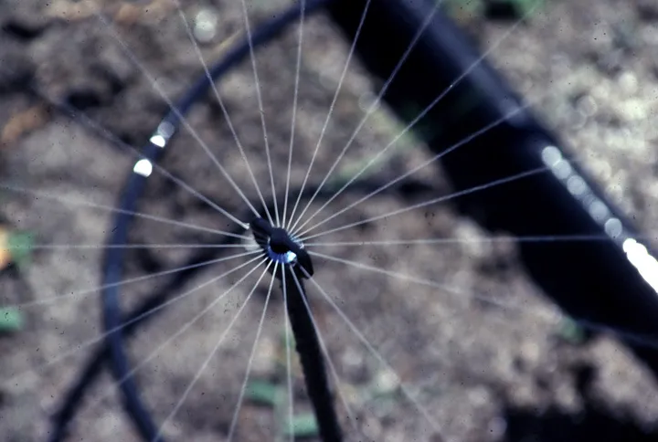 Microsprinkler Photo: L. Schwankl