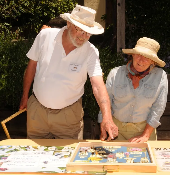Robbin Thorp, emeritus professor of entomology at UC Davis, shows UC master gardener Kathy Ziccardi a collection of his native bees. (Photo by Kathy Keatley Garvey)