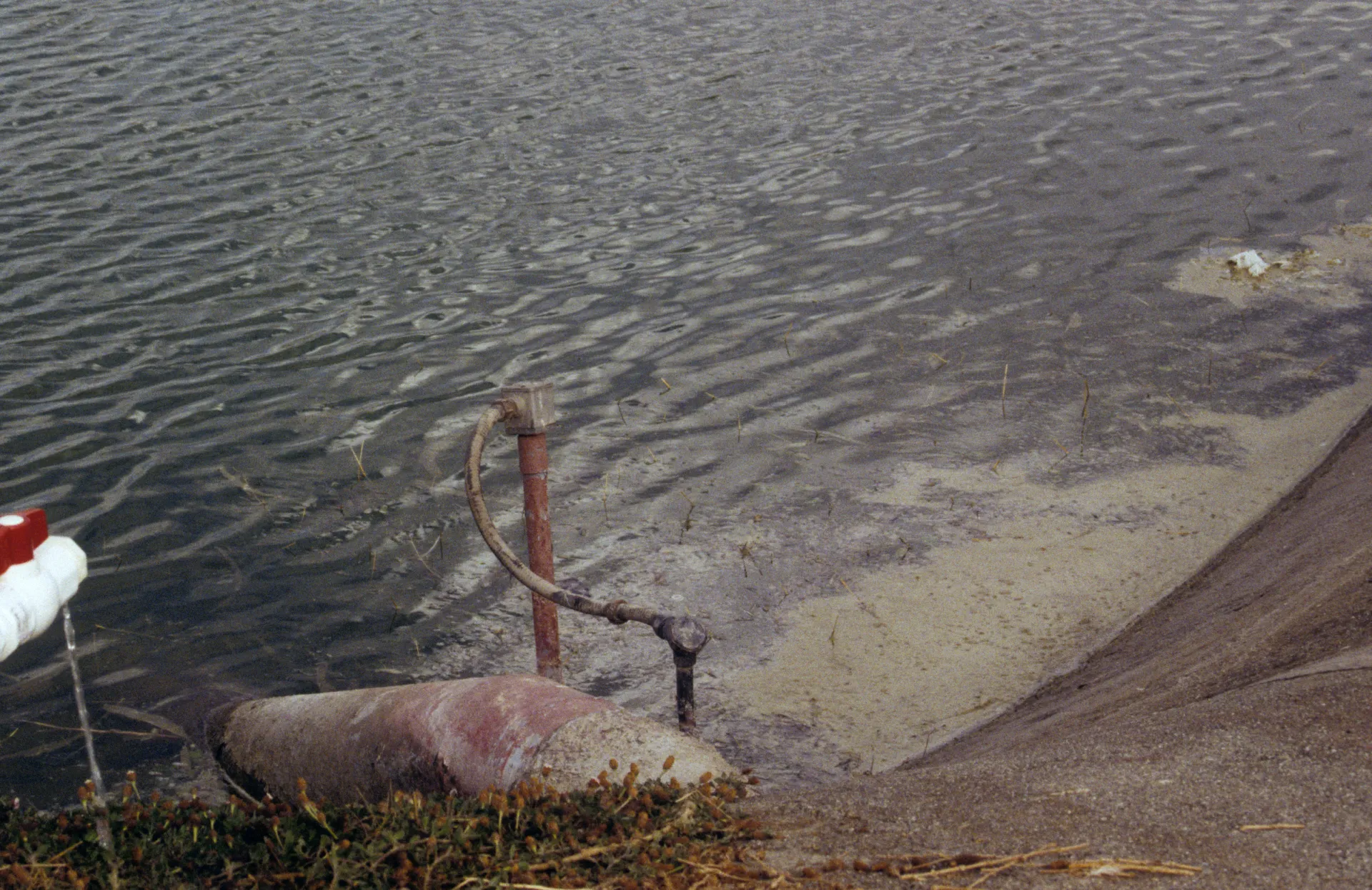 Water in an irrigation reservoir with a high organic contamination level Photo: L. Schwankl