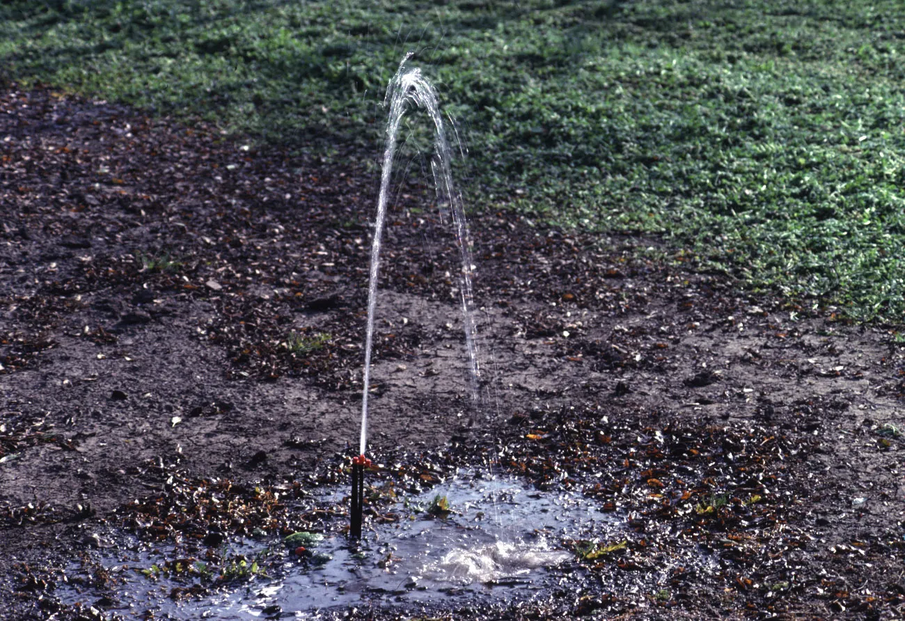 Microsprinkler with missing head Photo: L. Schwankl.