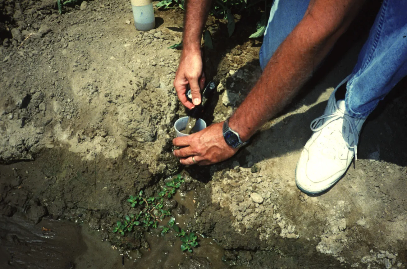 Flushing of drip tape lateral ends Photo: L Schwankl