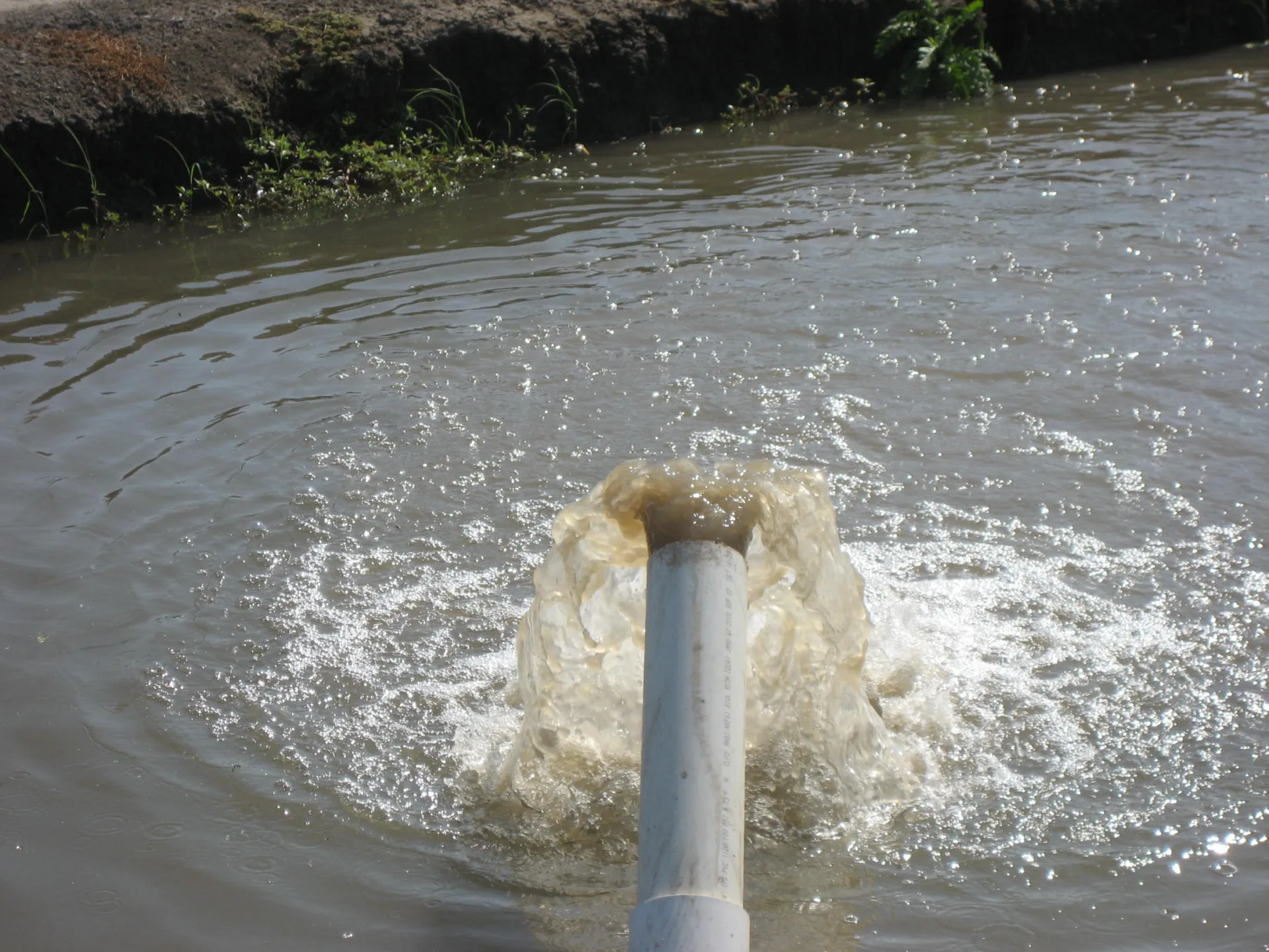 Backwash water from a sand media filter Photo: L. Schwankl.